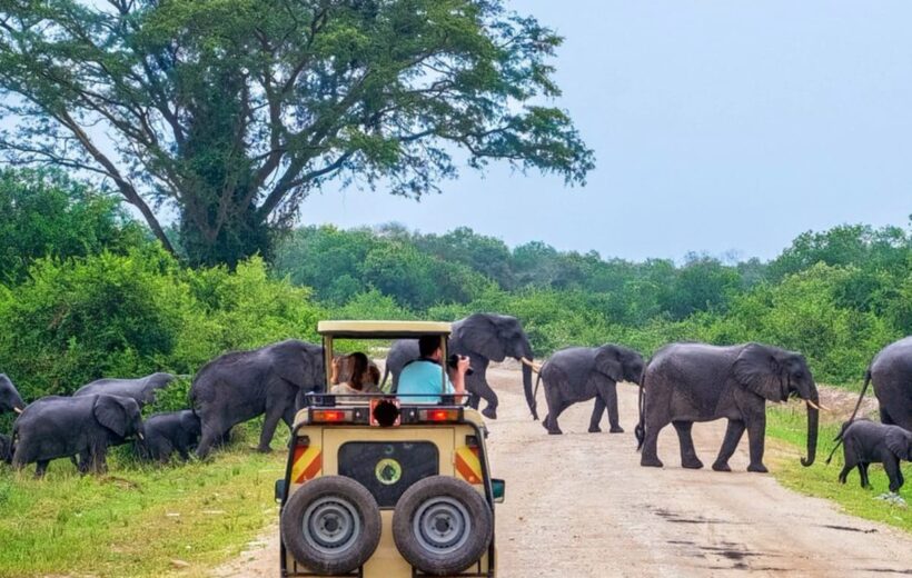 Family Friendly Big Five Bush to Beach Safari in Kenya