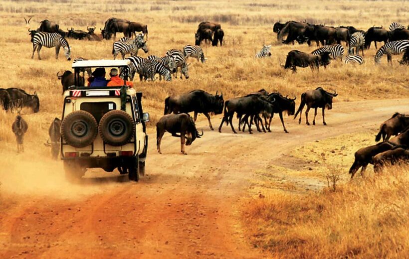 8 Day Big Five Tanzania safari and Wildebeast Migration