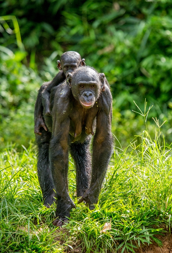 Uganda